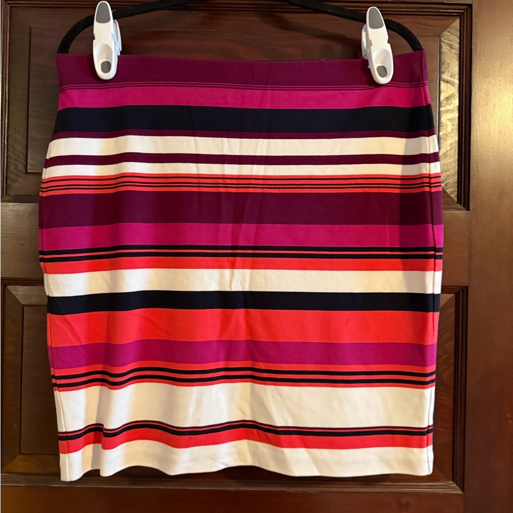Striped Multicolor Women's Skirt